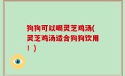 狗狗可以喝灵芝鸡汤(灵芝鸡汤适合狗狗饮用！)
