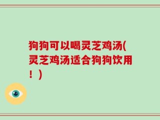 狗狗可以喝灵芝鸡汤(灵芝鸡汤适合狗狗饮用！)