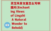 灵芝风景文案怎么写啊图片(Enchanting Views of Lingzhi A Natural Wonder to Behold)