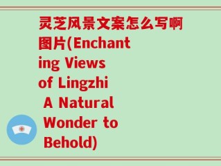 灵芝风景文案怎么写啊图片(Enchanting Views of Lingzhi A Natural Wonder to Behold)