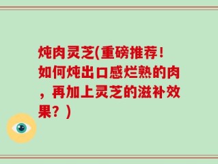 炖肉灵芝(重磅推荐！如何炖出口感烂熟的肉，再加上灵芝的滋补效果？)