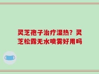 灵芝孢子治疗湿热？灵芝松露无水喷雾好用吗