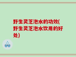 野生灵芝泡水的功效(野生灵芝泡水饮用的好处)