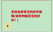怎样选择灵芝的好坏视频(如何判断灵芝的好坏？)