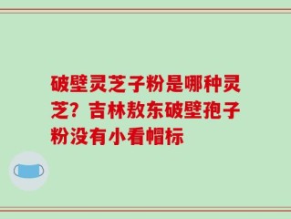 破壁灵芝子粉是哪种灵芝？吉林敖东破壁孢子粉没有小看帽标