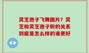 灵芝孢子飞舞图片？灵芝和灵芝孢子粉的关系到底是怎么样的谁更好