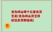青岛崂山哪个位置有灵芝卖(青岛崂山灵芝供应信息获取指南)