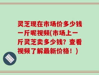 灵芝现在市场价多少钱一斤呢视频(市场上一斤灵芝卖多少钱？查看视频了解最新价格！)