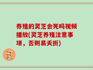 养殖的灵芝会死吗视频播放(灵芝养殖注意事项，否则易夭折)