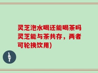 灵芝泡水喝还能喝茶吗灵芝能与茶共存，两者可轮换饮用)