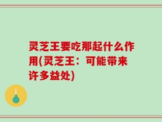 灵芝王要吃那起什么作用(灵芝王：可能带来许多益处)