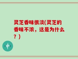 灵芝香味很淡(灵芝的香味不浓，这是为什么？)