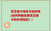 灵芝孢子啥样子的好呢(如何判断优质灵芝孢子的外观特征？)