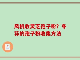 风机收灵芝孢子粉？冬荪的孢子粉收集方法