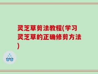 灵芝草剪法教程(学习灵芝草的正确修剪方法)