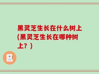 黑灵芝生长在什么树上(黑灵芝生长在哪种树上？)