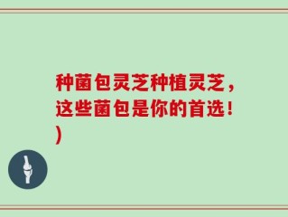 种菌包灵芝种植灵芝，这些菌包是你的首选！)