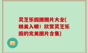灵芝乐园图图片大全(精美入眼！欣赏灵芝乐园的完美图片合集)