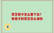 灵芝孢子怎么整下去？有孢子的灵芝怎么保存
