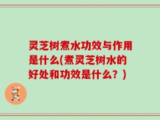 灵芝树煮水功效与作用是什么(煮灵芝树水的好处和功效是什么？)
