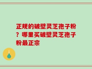 正规的破壁灵芝孢子粉？哪里买破壁灵芝孢子粉最正宗