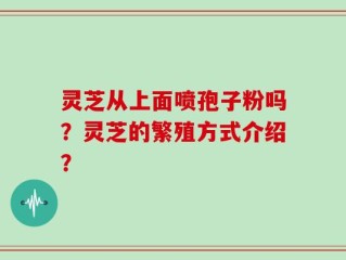 灵芝从上面喷孢子粉吗？灵芝的繁殖方式介绍？