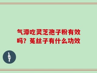 气滞吃灵芝孢子粉有效吗？菟丝子有什么功效