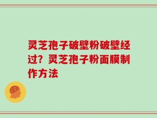 灵芝孢子破壁粉破壁经过？灵芝孢子粉面膜制作方法
