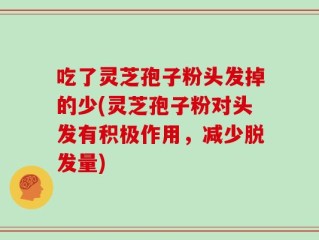 吃了灵芝孢子粉头发掉的少(灵芝孢子粉对头发有积极作用，减少脱发量)