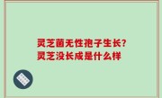 灵芝菌无性孢子生长？灵芝没长成是什么样