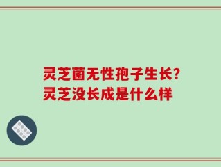 灵芝菌无性孢子生长？灵芝没长成是什么样