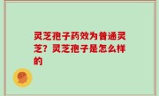 灵芝孢子药效为普通灵芝？灵芝孢子是怎么样的