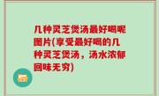 几种灵芝煲汤最好喝呢图片(享受最好喝的几种灵芝煲汤，汤水浓郁回味无穷)