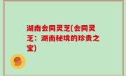湖南会同灵芝(会同灵芝：湖南秘境的珍贵之宝)