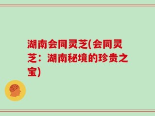 湖南会同灵芝(会同灵芝：湖南秘境的珍贵之宝)