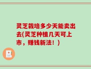 灵芝栽培多少天能卖出去(灵芝种植几天可上市，赚钱新法！)