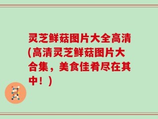 灵芝鲜菇图片大全高清(高清灵芝鲜菇图片大合集，美食佳肴尽在其中！)