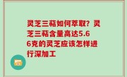 灵芝三萜如何萃取？灵芝三萜含量高达5.66克的灵芝应该怎样进行深加工