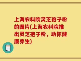 上海农科院灵芝孢子粉的图片(上海农科院推出灵芝孢子粉，助你健康养生)