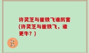 许灵芝与崔铁飞谁厉害(许灵芝与崔铁飞，谁更牛？)