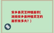 安乡县灵芝种植面积(湖南安乡县种植灵芝的面积有多大？)