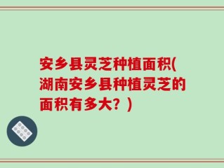 安乡县灵芝种植面积(湖南安乡县种植灵芝的面积有多大？)