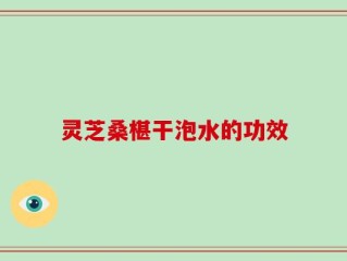灵芝桑椹干泡水的功效