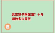 灵芝孢子粉配酒？十斤酒放多少灵芝