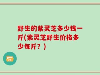 野生的紫灵芝多少钱一斤(紫灵芝野生价格多少每斤？)