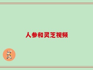 人参和灵芝视频