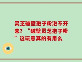 灵芝破壁孢子粉泡不开来？“破壁灵芝孢子粉”这玩意真的有用么