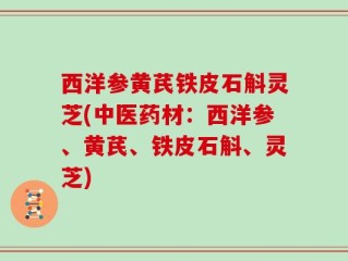 西洋参黄芪铁皮石斛灵芝(中医药材：西洋参、黄芪、铁皮石斛、灵芝)