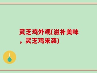 灵芝鸡外观(滋补美味，灵芝鸡来袭)