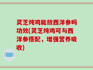 灵芝炖鸡能放西洋参吗功效(灵芝炖鸡可与西洋参搭配，增强营养吸收)